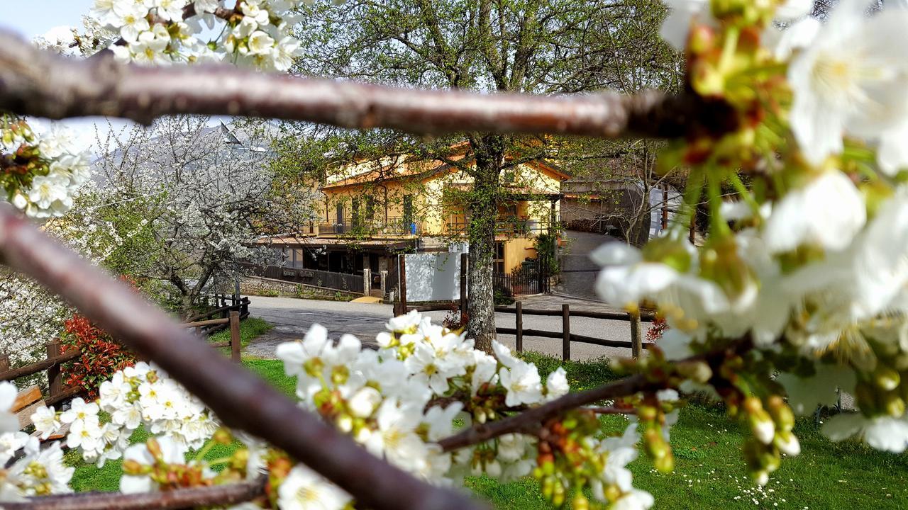 فيلا Agriturismo Aria Fina مورمانو المظهر الخارجي الصورة